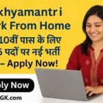 Mukhyamantri Work From Home 1