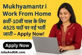Mukhyamantri Work From Home 1